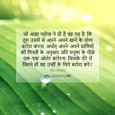 Picture 07 - निर्गमन 16:16 HINIRV - जो आज्ञा यहोवा ने - Bible Verse Picture