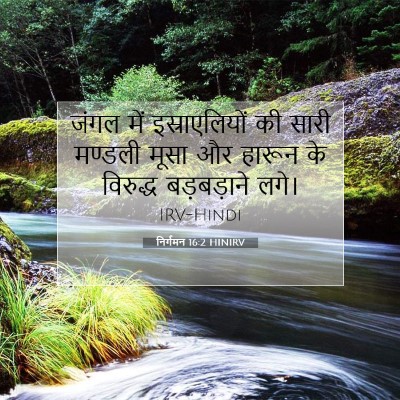 Picture 07 - निर्गमन 16:2 HINIRV - जंगल में - Bible Verse Picture