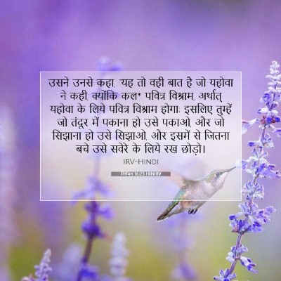 Picture 07 - निर्गमन 16:23 HINIRV - उसने उनसे कहा, “यह - Bible Verse Picture