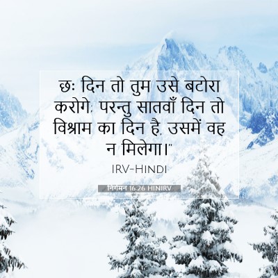 Picture 07 - निर्गमन 16:26 HINIRV - छः दिन तो तुम उसे - Bible Verse Picture