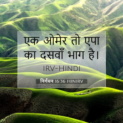 Picture 07 - निर्गमन 16:36 HINIRV - एक ओमेर तो एपा का - Bible Verse Picture