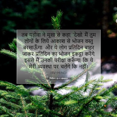 Picture 07 - निर्गमन 16:4 HINIRV - तब यहोवा ने मूसा से - Bible Verse Picture