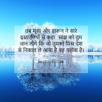 Picture 07 - निर्गमन 16:6 HINIRV - तब मूसा और हारून ने - Bible Verse Picture