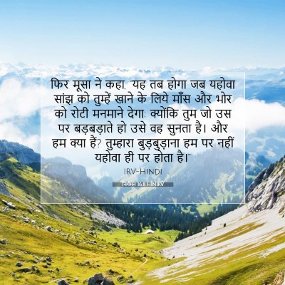 Picture 07 - निर्गमन 16:8 HINIRV - फिर मूसा ने कहा, - Bible Verse Picture
