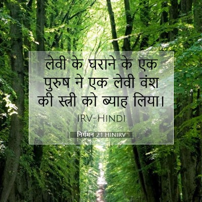 Picture 07 - निर्गमन 2:1 HINIRV - लेवी के घराने के एक - Bible Verse Picture