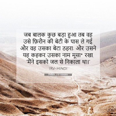 Picture 07 - निर्गमन 2:10 HINIRV - जब बालक कुछ बड़ा - Bible Verse Picture