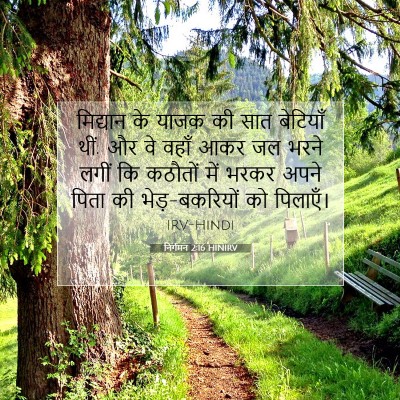 Picture 07 - निर्गमन 2:16 HINIRV - मिद्यान के याजक की - Bible Verse Picture
