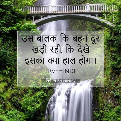 Picture 07 - निर्गमन 2:4 HINIRV - उस बालक कि बहन दूर - Bible Verse Picture