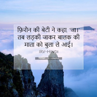 Picture 07 - निर्गमन 2:8 HINIRV - फ़िरौन की बेटी ने - Bible Verse Picture
