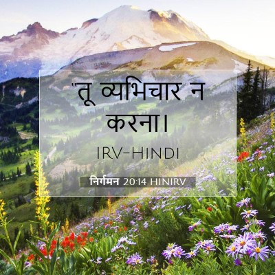 Picture 07 - निर्गमन 20:14 HINIRV - “तू व्यभिचार न - Bible Verse Picture