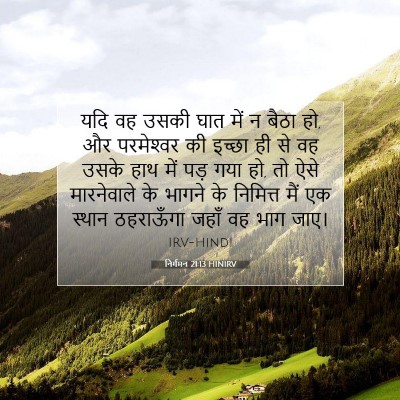 Picture 07 - निर्गमन 21:13 HINIRV - यदि वह उसकी घात में - Bible Verse Picture