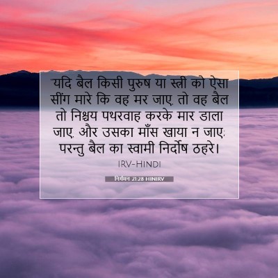 Picture 07 - निर्गमन 21:28 HINIRV - “यदि बैल किसी - Bible Verse Picture