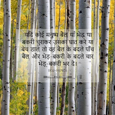 Picture 07 - निर्गमन 22:1 HINIRV - “यदि कोई मनुष्य - Bible Verse Picture