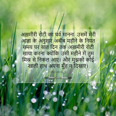 Picture 07 - निर्गमन 23:15 HINIRV - अख़मीरी रोटी का - Bible Verse Picture