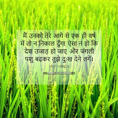 Picture 07 - निर्गमन 23:29 HINIRV - मैं उनको तेरे आगे - Bible Verse Picture