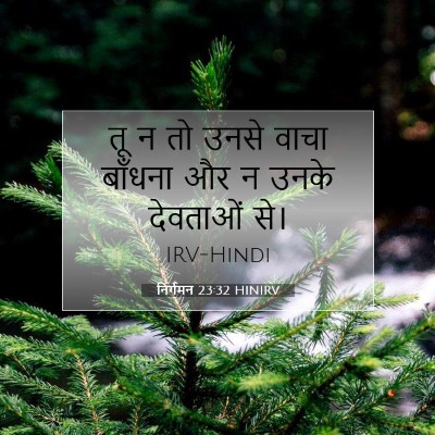 Picture 07 - निर्गमन 23:32 HINIRV - तू न तो उनसे वाचा - Bible Verse Picture