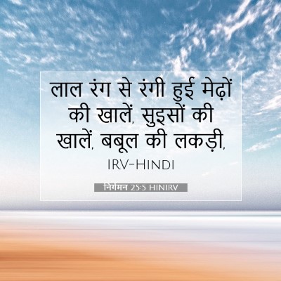 Picture 07 - निर्गमन 25:5 HINIRV - लाल रंग से रंगी हुई - Bible Verse Picture