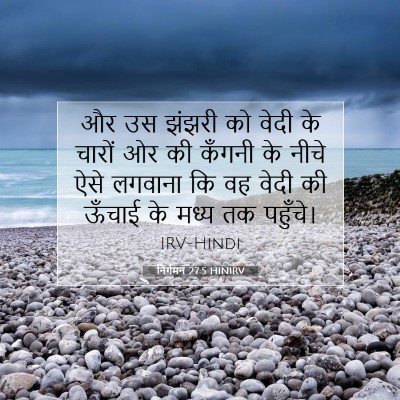 Picture 07 - निर्गमन 27:5 HINIRV - और उस झंझरी को वेदी - Bible Verse Picture