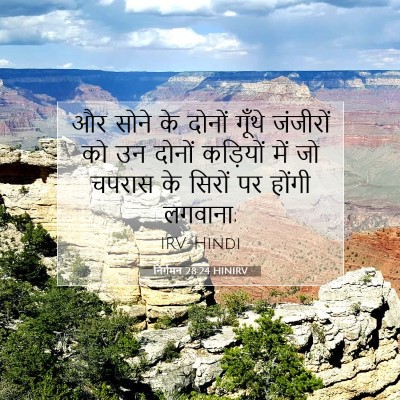 Picture 07 - निर्गमन 28:24 HINIRV - और सोने के दोनों - Bible Verse Picture