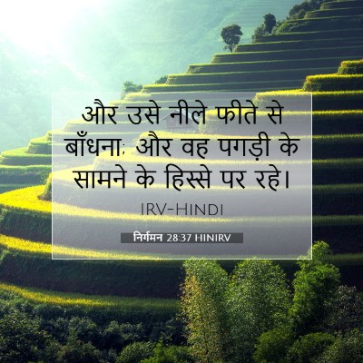 Picture 07 - निर्गमन 28:37 HINIRV - और उसे नीले फीते से - Bible Verse Picture