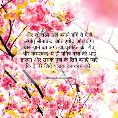 Picture 07 - निर्गमन 28:4 HINIRV - और जो वस्त्र - Bible Verse Picture