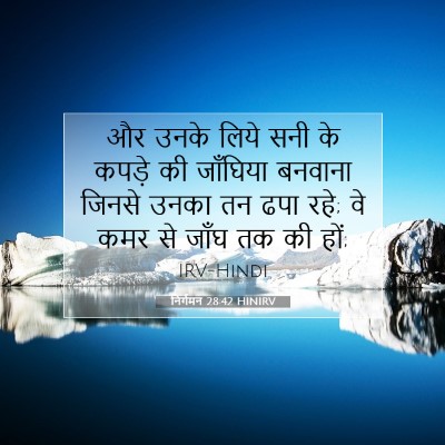 Picture 07 - निर्गमन 28:42 HINIRV - और उनके लिये सनी के - Bible Verse Picture