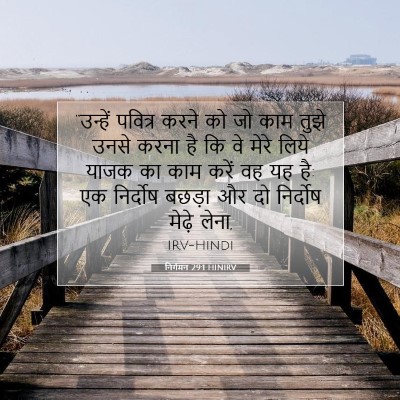 Picture 07 - निर्गमन 29:1 HINIRV - “उन्हें पवित्र - Bible Verse Picture