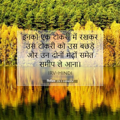 Picture 07 - निर्गमन 29:3 HINIRV - इनको एक टोकरी में - Bible Verse Picture