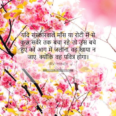 Picture 07 - निर्गमन 29:34 HINIRV - यदि संस्कारवाले - Bible Verse Picture