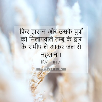 Picture 07 - निर्गमन 29:4 HINIRV - फिर हारून और उसके - Bible Verse Picture