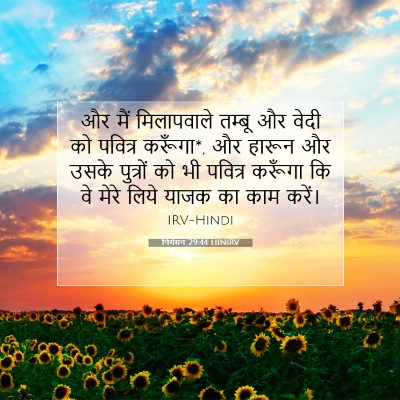 Picture 07 - निर्गमन 29:44 HINIRV - और मैं मिलापवाले - Bible Verse Picture