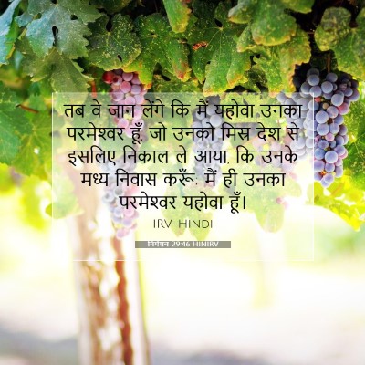 Picture 07 - निर्गमन 29:46 HINIRV - तब वे जान लेंगे कि - Bible Verse Picture