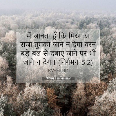Picture 07 - निर्गमन 3:19 HINIRV - मैं जानता हूँ कि - Bible Verse Picture