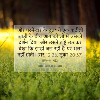 Picture 07 - निर्गमन 3:2 HINIRV - और परमेश्‍वर के - Bible Verse Picture