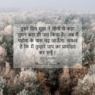 Picture 07 - निर्गमन 32:30 HINIRV - दूसरे दिन मूसा ने - Bible Verse Picture