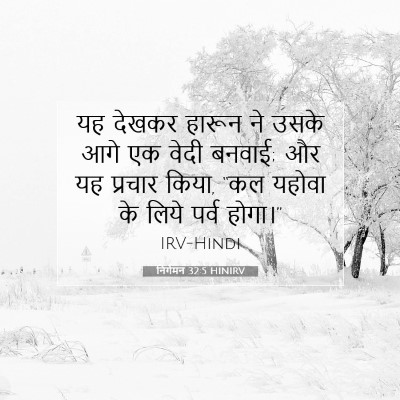 Picture 07 - निर्गमन 32:5 HINIRV - यह देखकर हारून ने - Bible Verse Picture