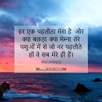 Picture 07 - निर्गमन 34:19 HINIRV - हर एक पहलौठा मेरा - Bible Verse Picture