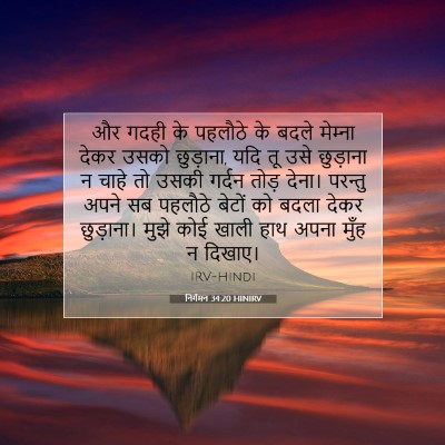 Picture 07 - निर्गमन 34:20 HINIRV - और गदही के पहलौठे - Bible Verse Picture