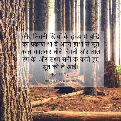 Picture 07 - निर्गमन 35:25 HINIRV - और जितनी - Bible Verse Picture