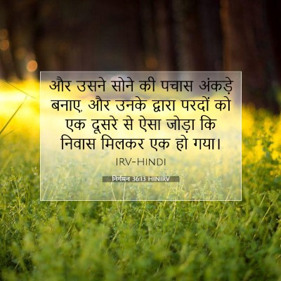 Picture 07 - निर्गमन 36:13 HINIRV - और उसने सोने की - Bible Verse Picture