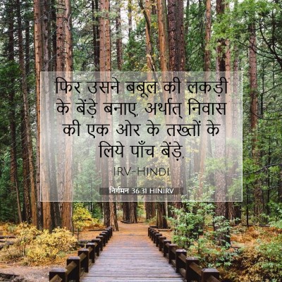 Picture 07 - निर्गमन 36:31 HINIRV - फिर उसने बबूल की - Bible Verse Picture