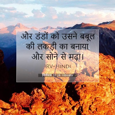 Picture 07 - निर्गमन 37:28 HINIRV - और डंडों को उसने - Bible Verse Picture