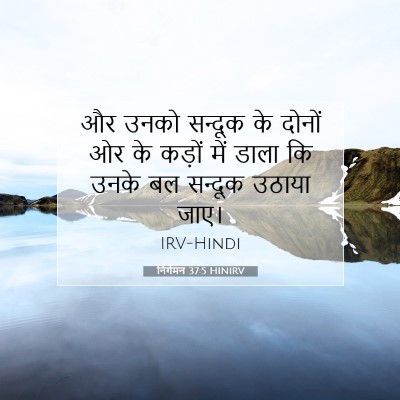 Picture 07 - निर्गमन 37:5 HINIRV - और उनको सन्दूक के - Bible Verse Picture