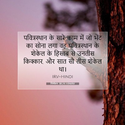Picture 07 - निर्गमन 38:24 HINIRV - पवित्रस्‍थान के - Bible Verse Picture