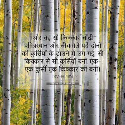 Picture 07 - निर्गमन 38:27 HINIRV - और वह सौ किक्कार - Bible Verse Picture