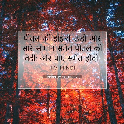Picture 07 - निर्गमन 39:39 HINIRV - पीतल की झंझरी, - Bible Verse Picture