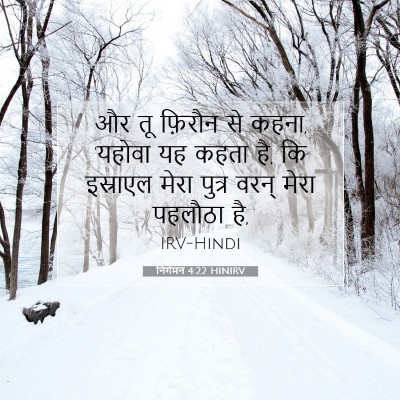 Picture 07 - निर्गमन 4:22 HINIRV - और तू फ़िरौन से - Bible Verse Picture