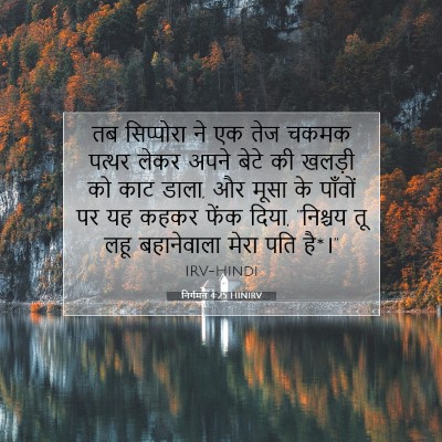 Picture 07 - निर्गमन 4:25 HINIRV - तब सिप्पोरा ने एक - Bible Verse Picture
