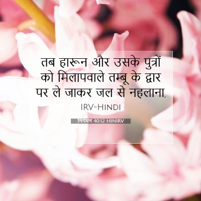 Picture 07 - निर्गमन 40:12 HINIRV - तब हारून और उसके - Bible Verse Picture
