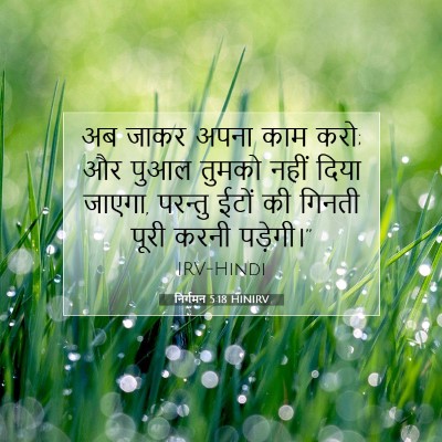 Picture 07 - निर्गमन 5:18 HINIRV - अब जाकर अपना काम - Bible Verse Picture